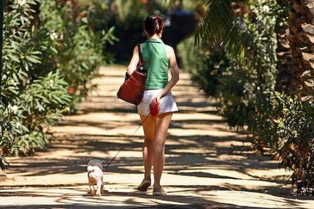 Thể dục cho người lười